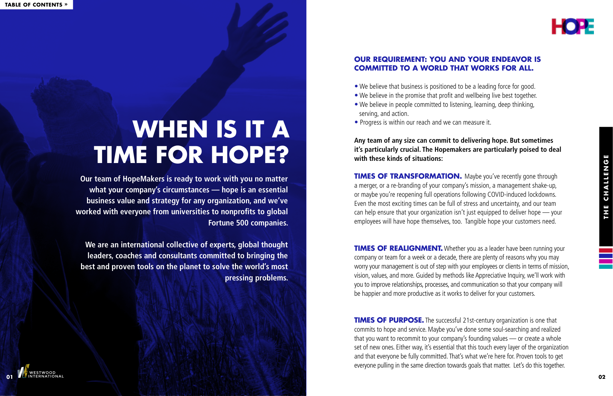 HopeMakers proposal page about a time for hope